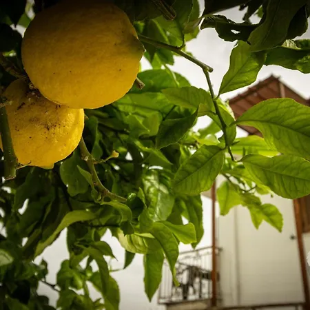 Alda House Appartamento *