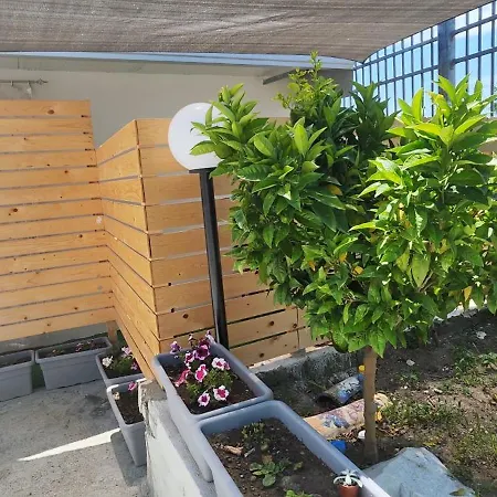 Appartement Alda House *